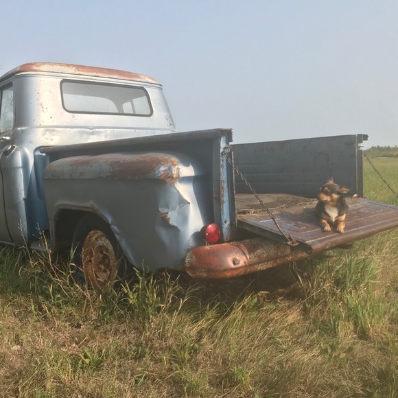 Meet your Posh Ambassador, Paula - Picture 15 of 16